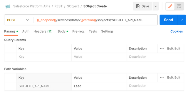 salesforce postman create record using api params