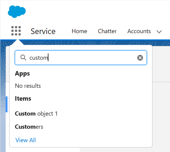 salesforce new custom object records search