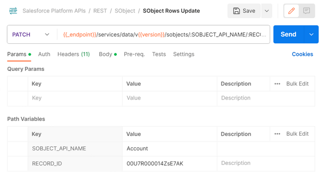 salesforce postman updare record api patch params