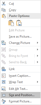 print screen image in word change size